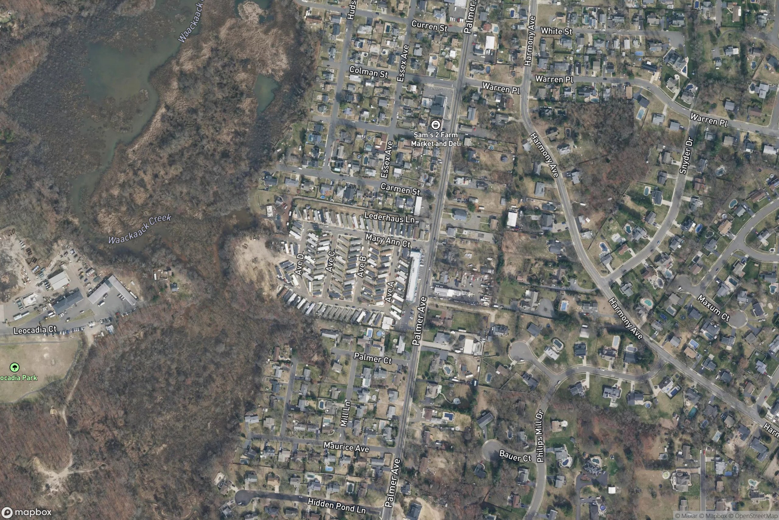 Palmer Meadows